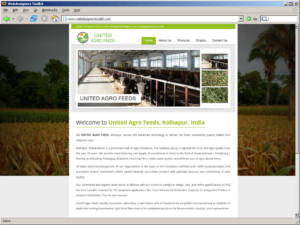 Supplier & Exporer of Corn Silage & Alfalfa Silage Bales | United Agro Feeds